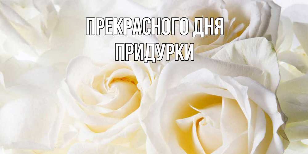 Открытка  с именем. Придурки, Прекрасного дня  