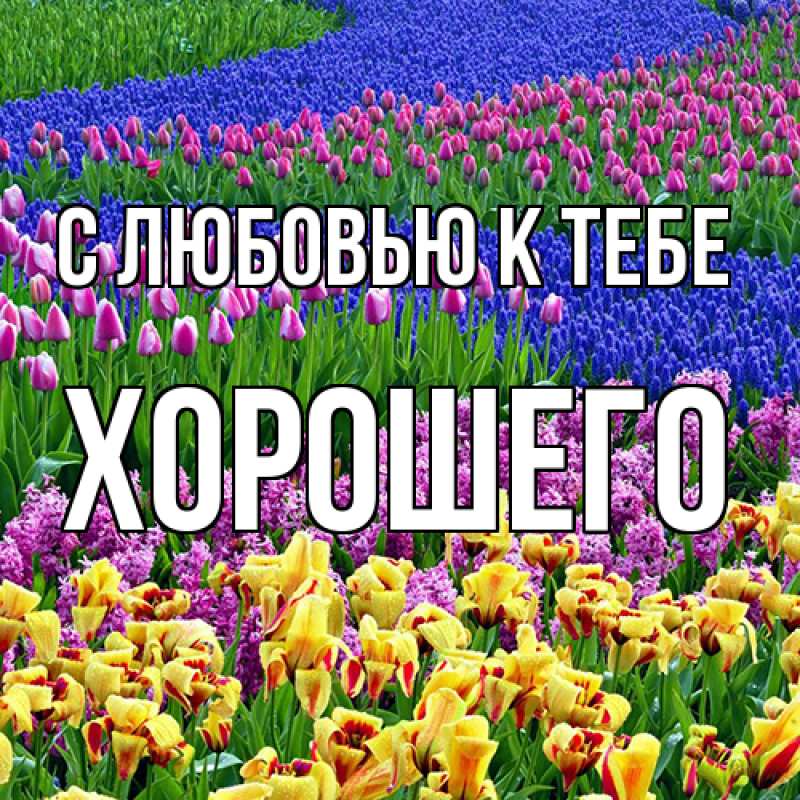 Картинка С любовью к тебе, Хорошего