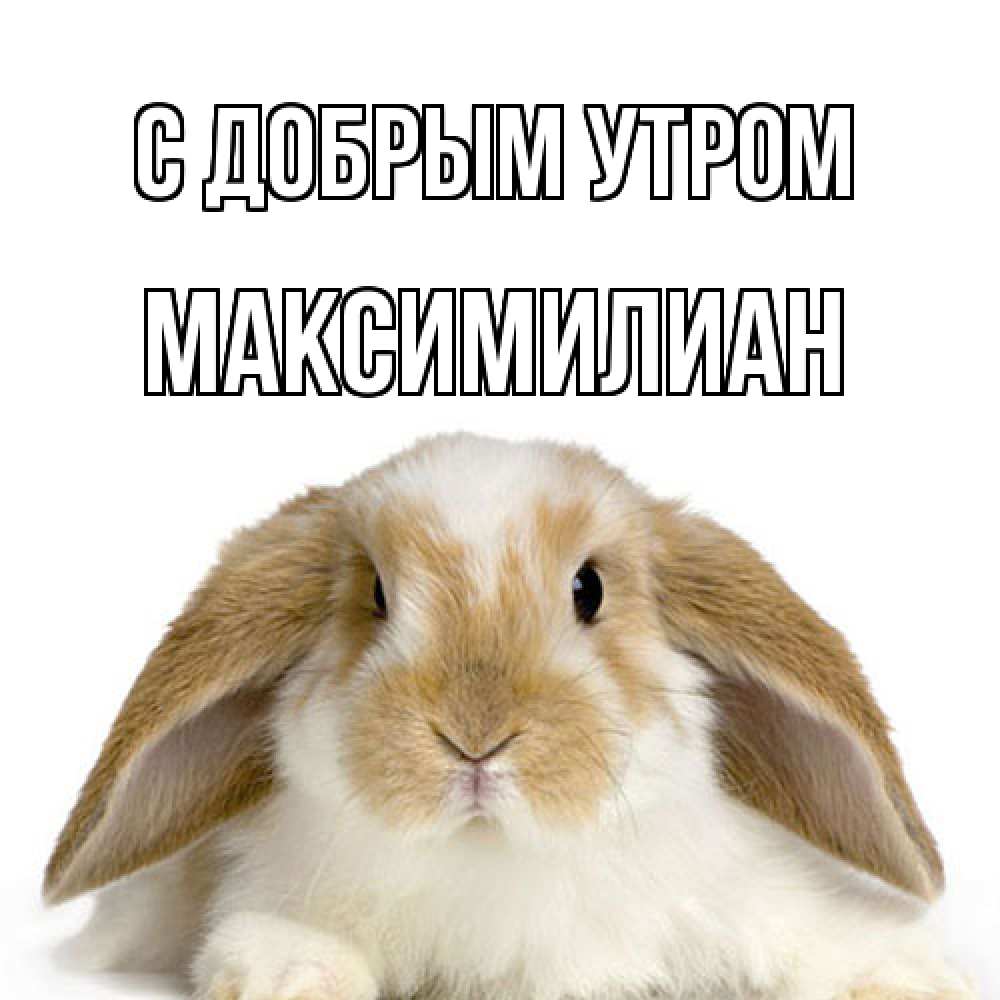 Открытка  с именем. Максимилиан, С добрым утром  