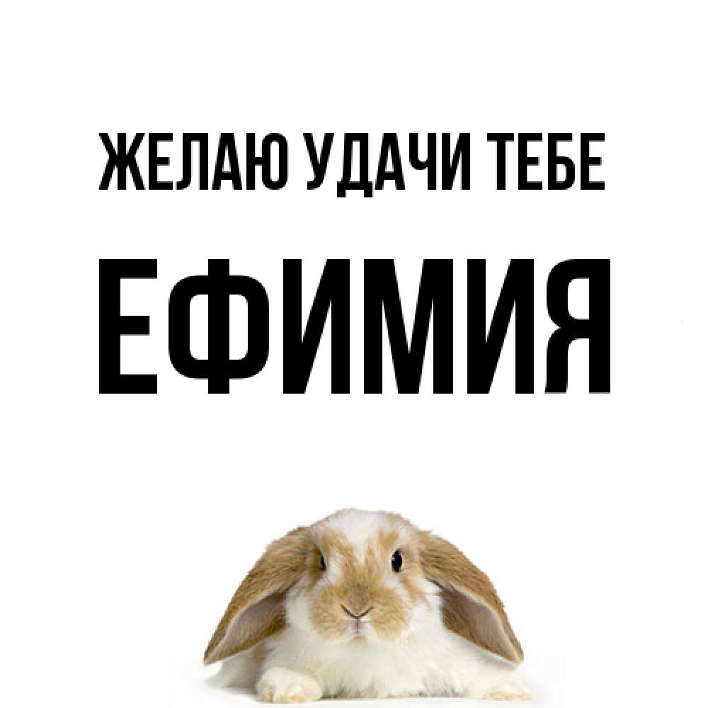 Открытка  с именем. Ефимия, Желаю удачи тебе  