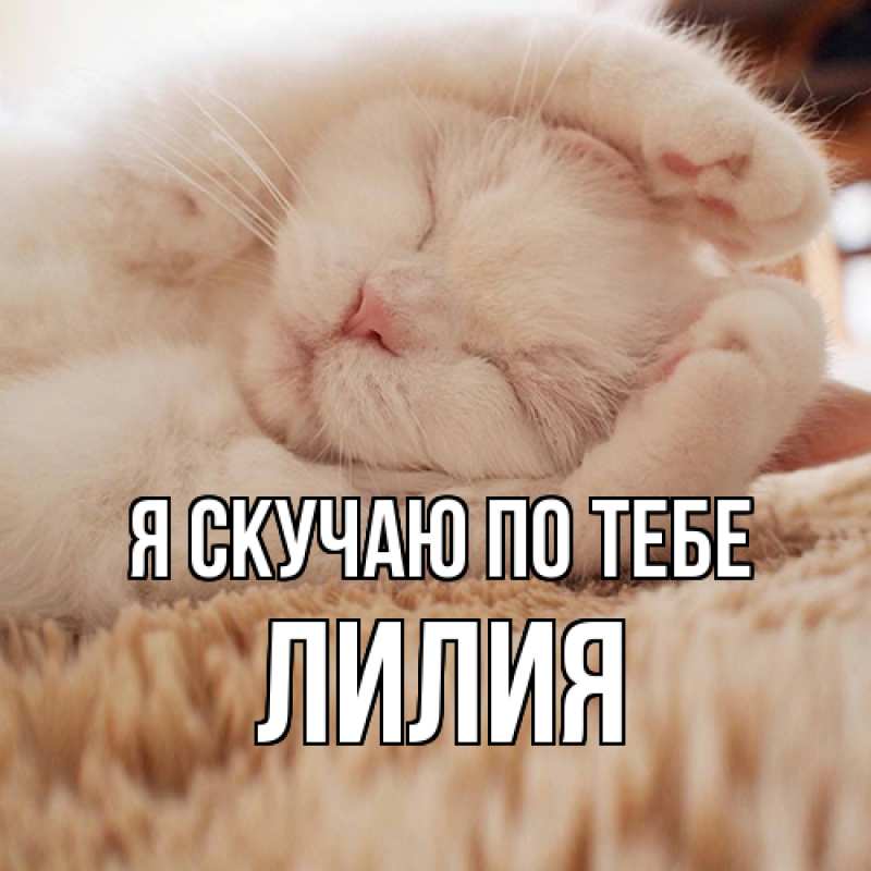 Картинка Я скучаю по тебе, Лилия
