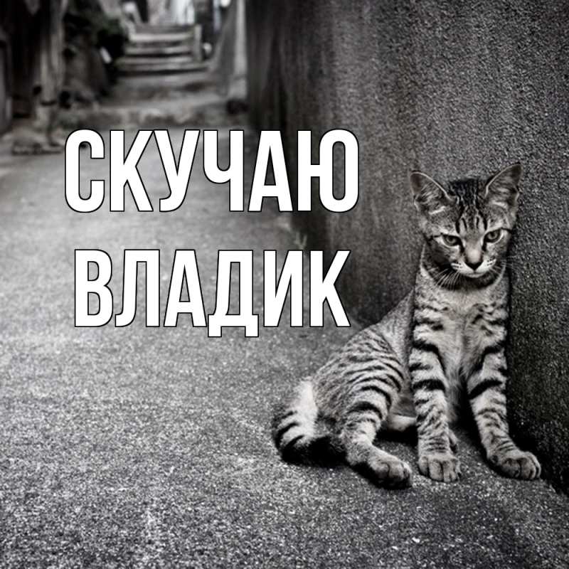 Картинка Скучаю, Владик