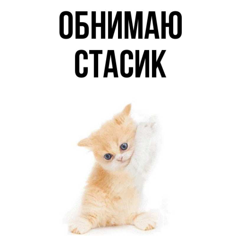 Картинка Обнимаю, Стасик