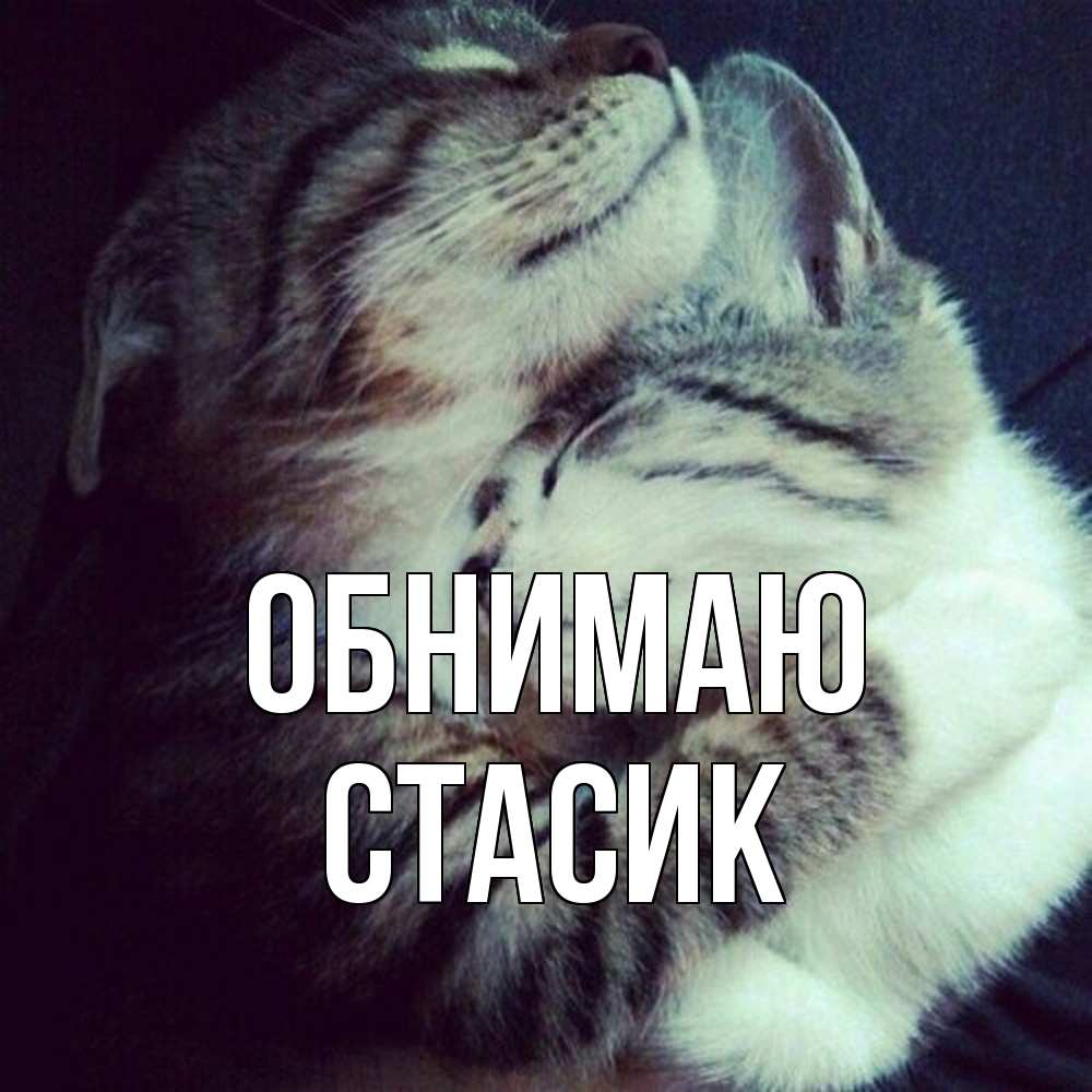 Открытка  с именем. Стасик, Обнимаю  
