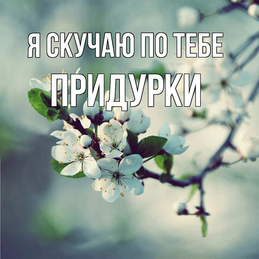 Открытка  с именем. Придурки, Я скучаю по тебе  