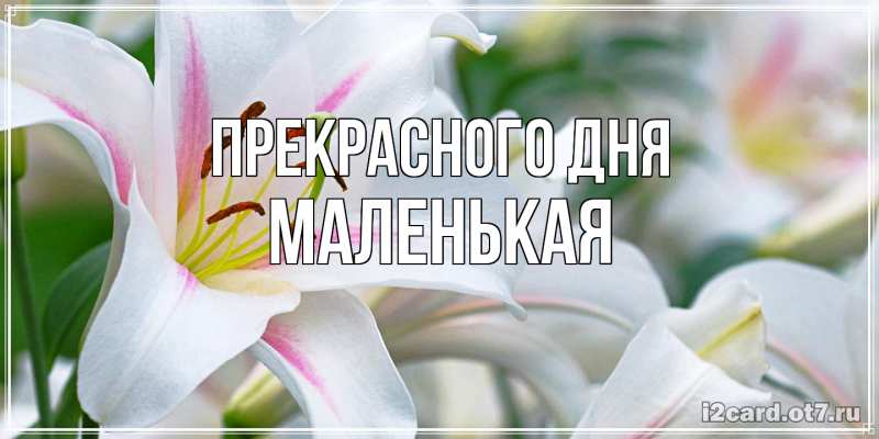 Картинка Прекрасного дня, Маленькая