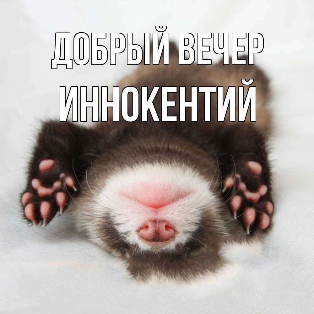 Открытка  с именем. Иннокентий, Добрый вечер  