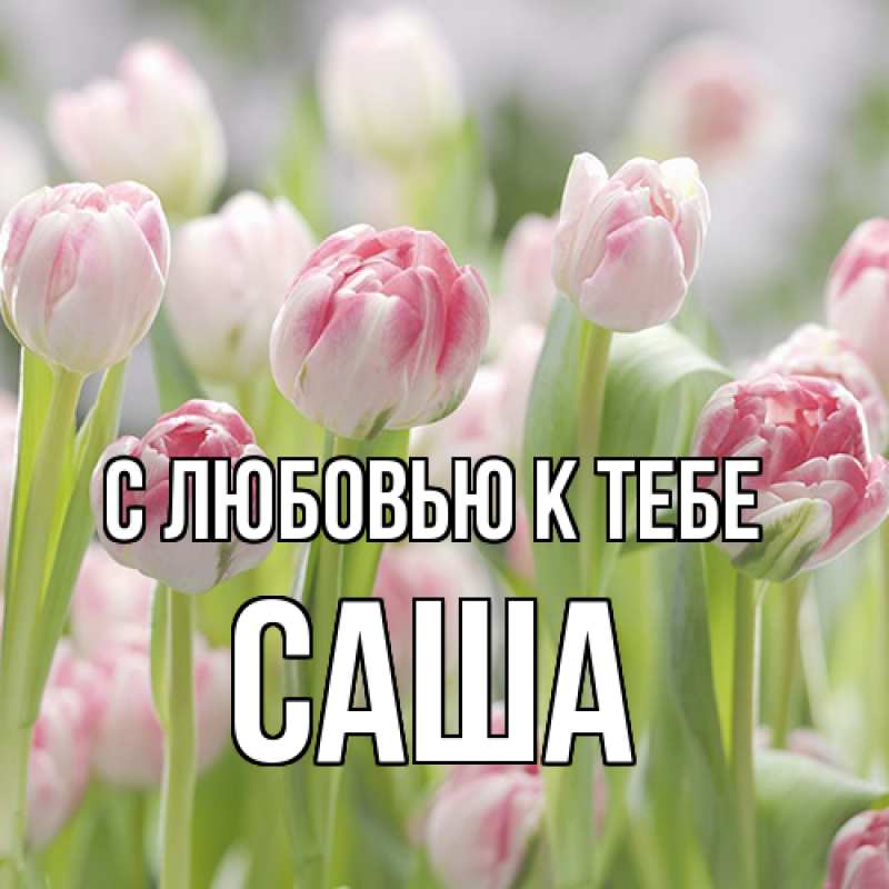 Картинка С любовью к тебе, Саша