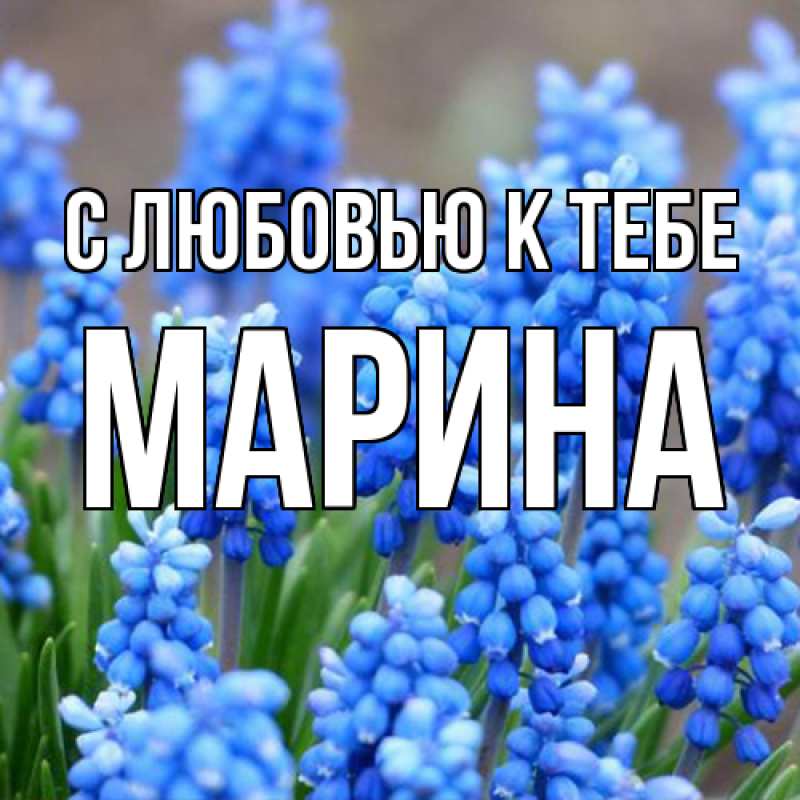 Открытка с именем, МАРИНА, С любовью к тебе