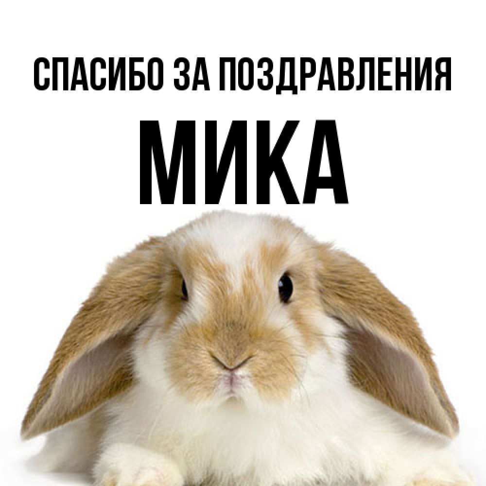 Открытка  с именем. мика, Спасибо за поздравления  