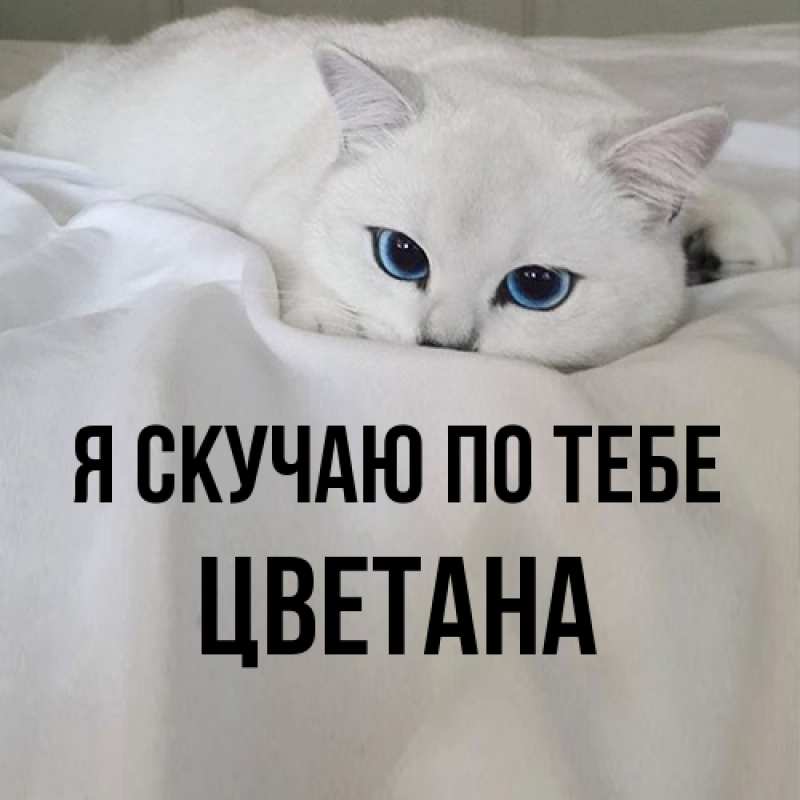 Открытка с именем, Цветана, Я скучаю по тебе