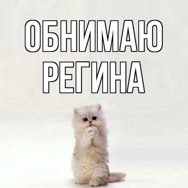 Картинка Обнимаю, Регина