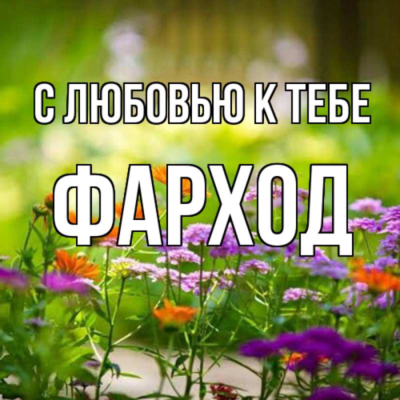 Картинка С любовью к тебе, Фарход