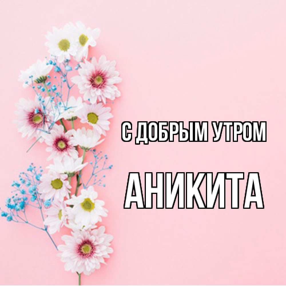 Открытка  с именем. Аникита, С добрым утром  