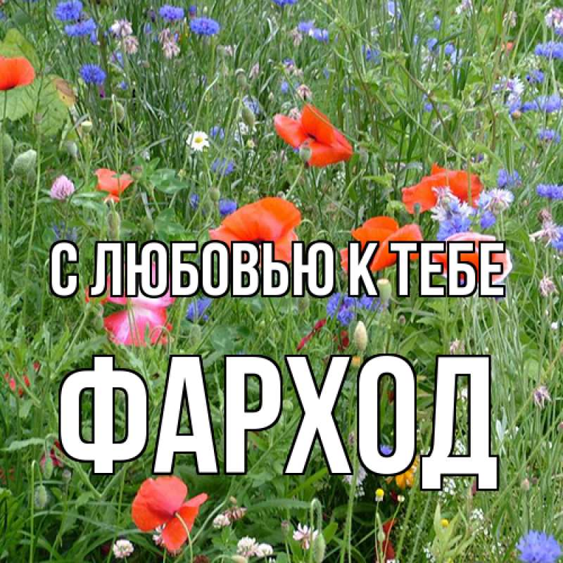 Картинка С любовью к тебе, Фарход