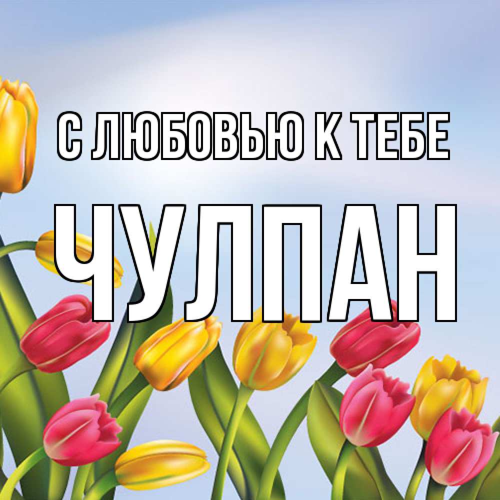 Открытка  с именем. Чулпан, С любовью к тебе  