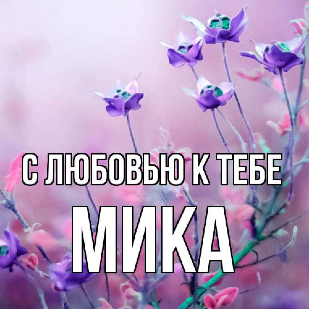 Открытка  с именем. мика, С любовью к тебе  
