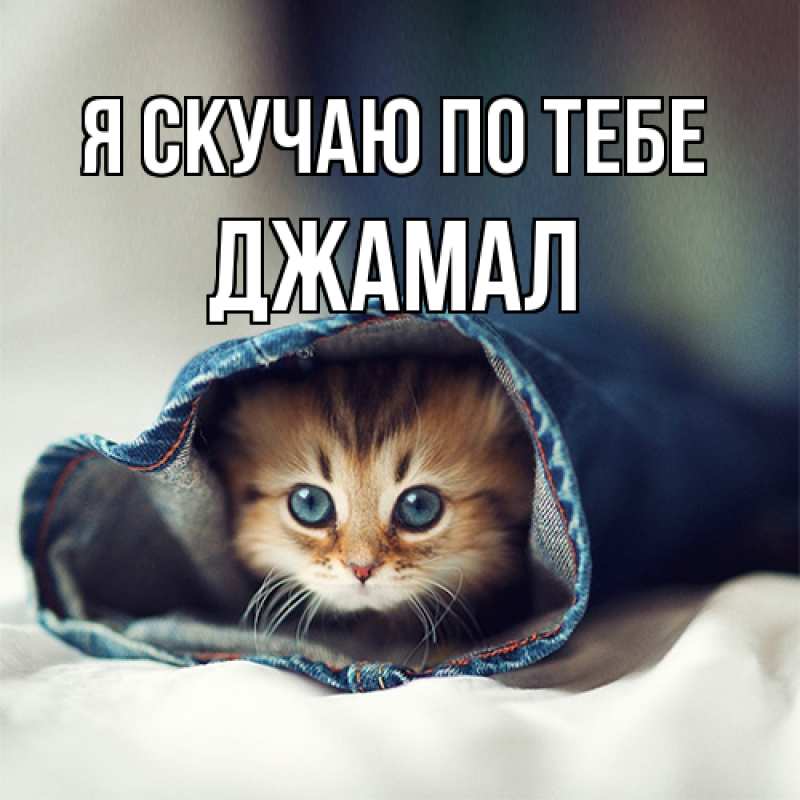 Картинка Я скучаю по тебе, Джамал