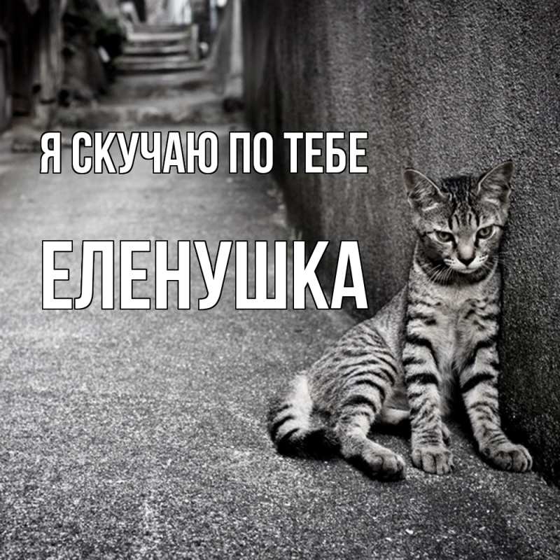 Открытка с именем, Еленушка, Я скучаю по тебе