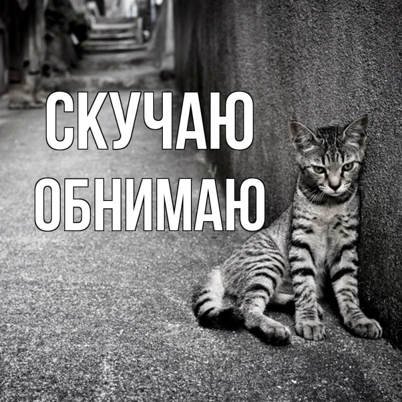 Картинка Скучаю, Обнимаю