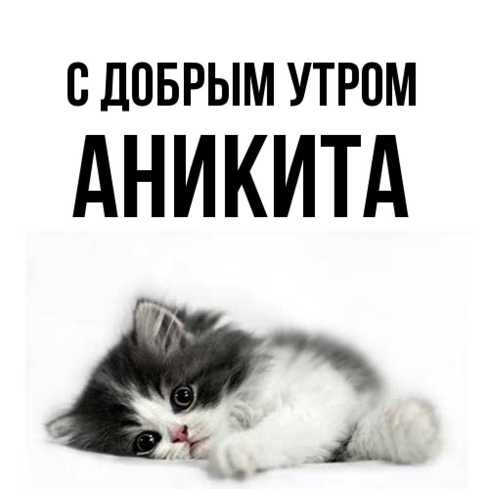 Открытка  с именем. Аникита, С добрым утром  