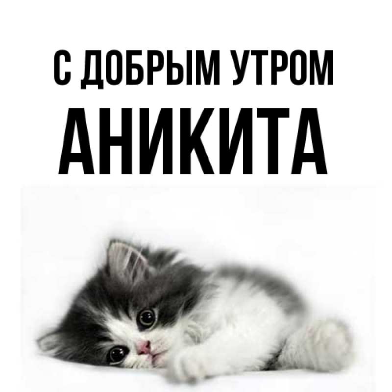 Картинка С добрым утром, Аникита