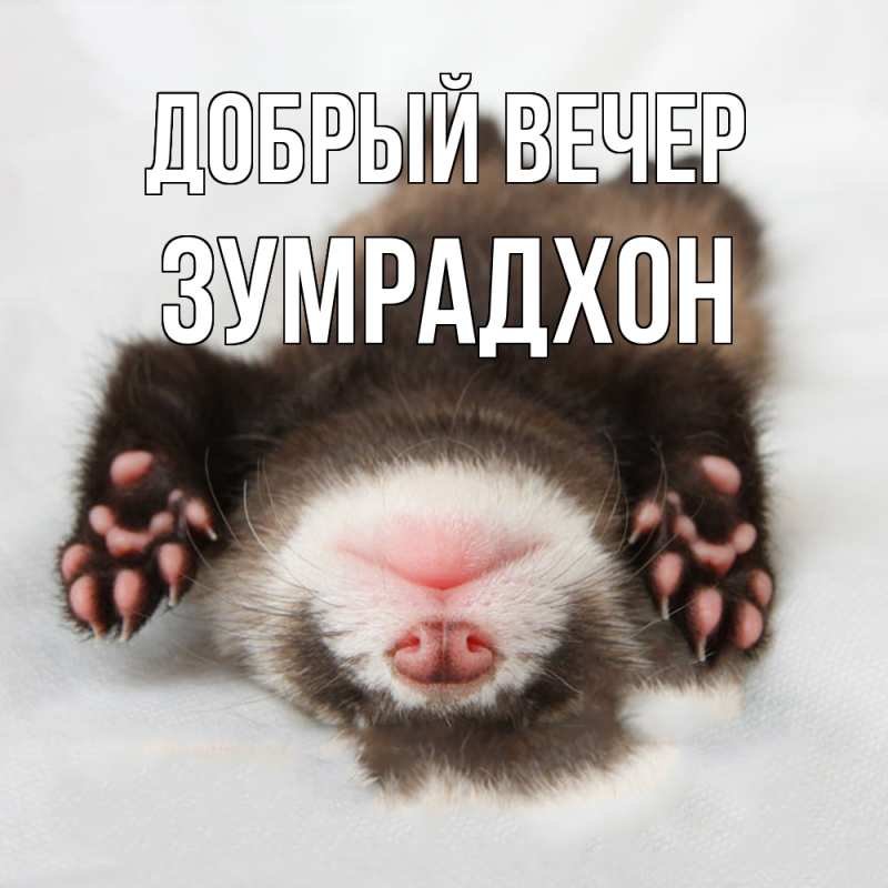 Картинка Добрый вечер, Зумрадхон