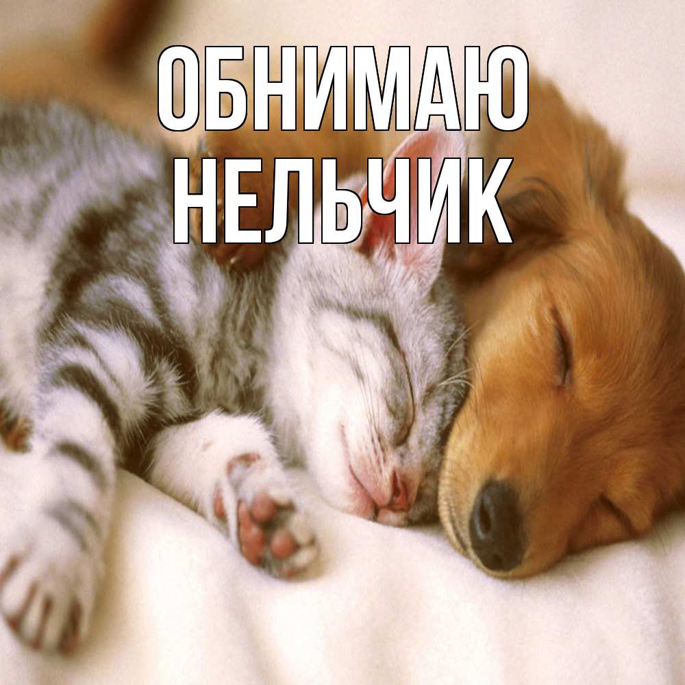 Открытка  с именем. Нельчик, Обнимаю  