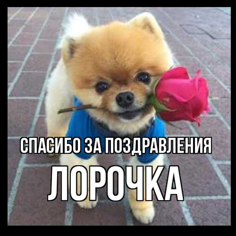 Картинка Спасибо за поздравления, Лорочка