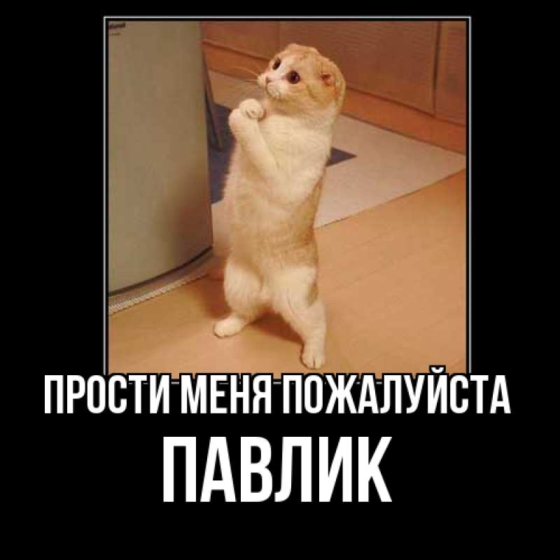 Картинка Прости меня пожалуйста, Павлик