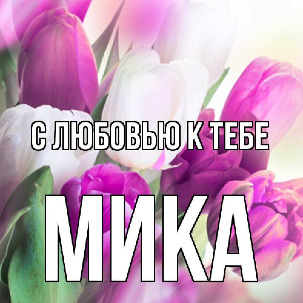 Открытка  с именем. мика, С любовью к тебе  