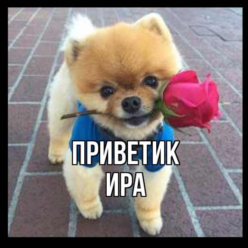 Открытка с именем, Ира, приветик