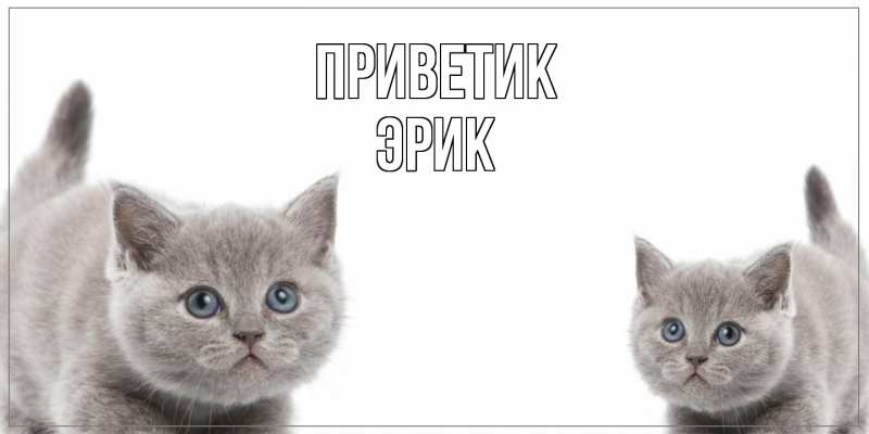 Картинка приветик, Эрик
