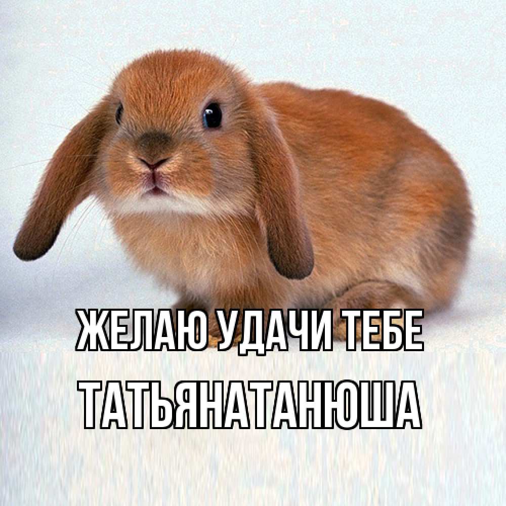 Открытка  с именем. Татьянатанюша, Желаю удачи тебе  