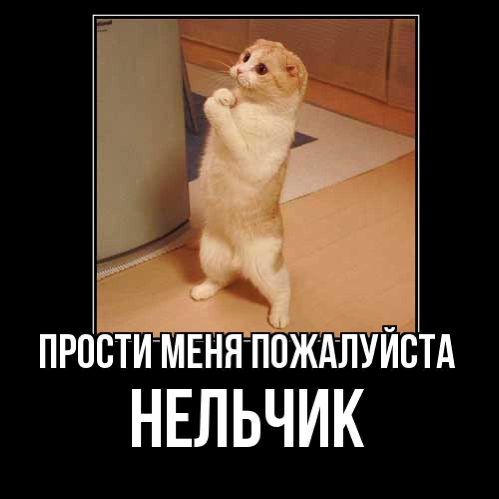 Открытка  с именем. Нельчик, Прости меня пожалуйста  