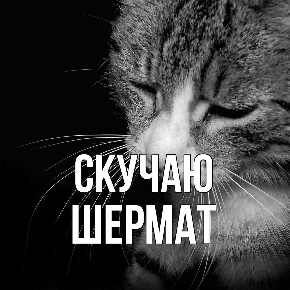 Открытка  с именем. Шермат, Скучаю  