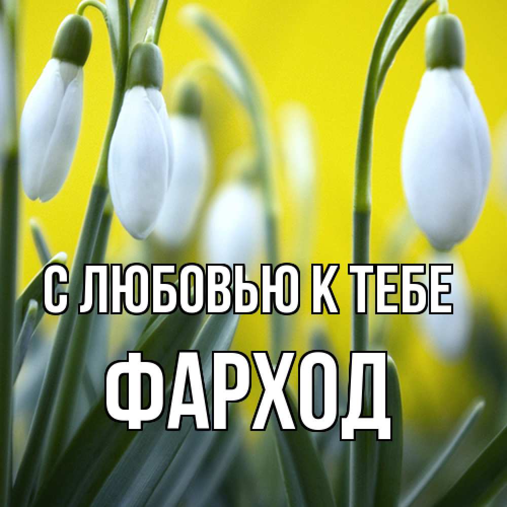 Открытка  с именем. Фарход, С любовью к тебе  