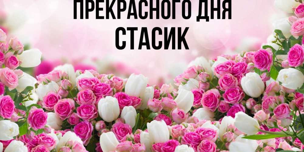 Открытка  с именем. Стасик, Прекрасного дня  