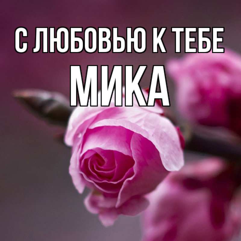 Картинка С любовью к тебе, мика