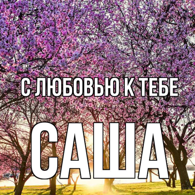 Картинка С любовью к тебе, Саша