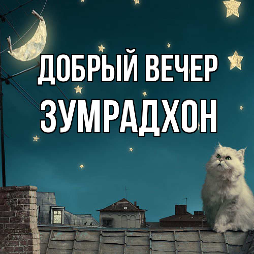 Открытка  с именем. Зумрадхон, Добрый вечер  