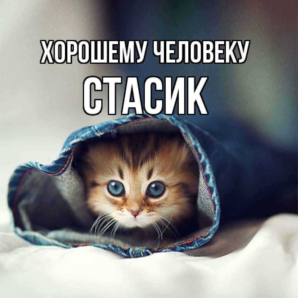 Открытка  с именем. Стасик, Хорошему человеку  