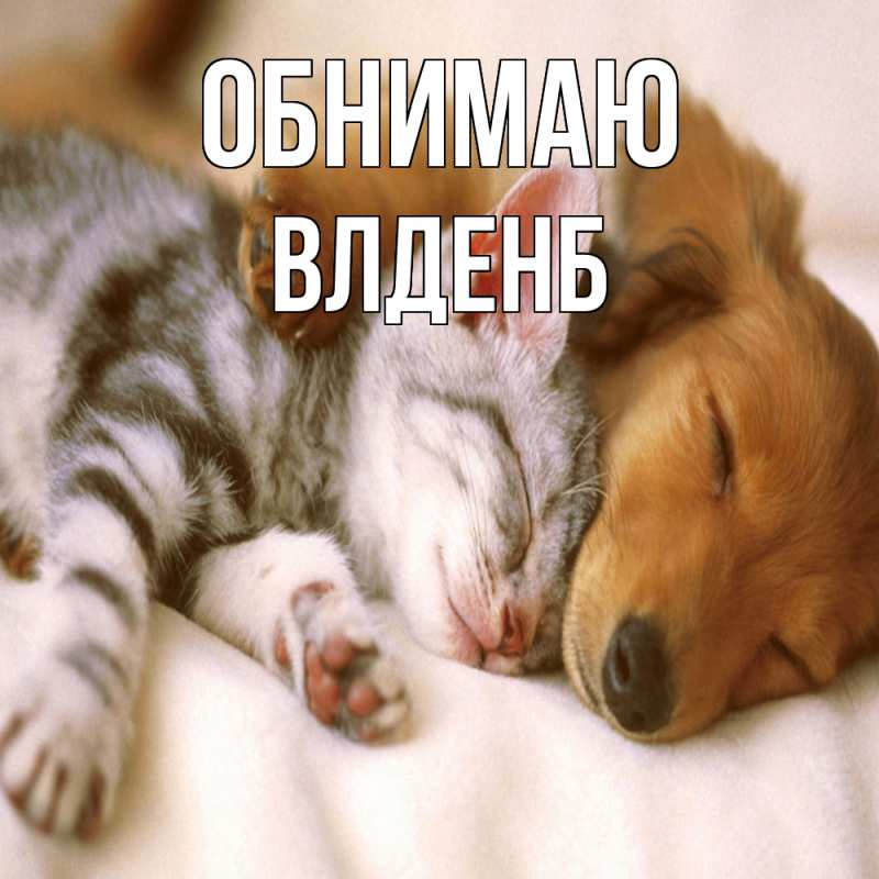 Картинка Обнимаю, Влденб