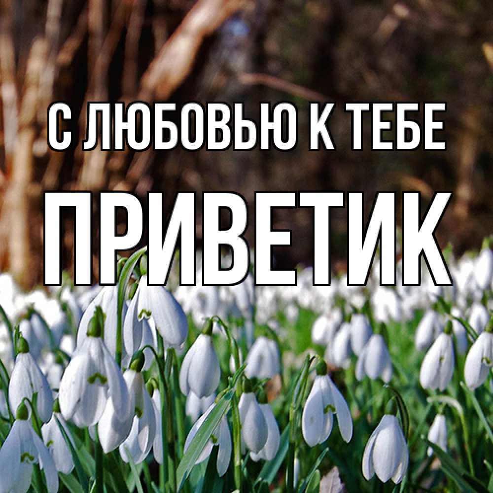 Открытка  с именем. приветик, С любовью к тебе  