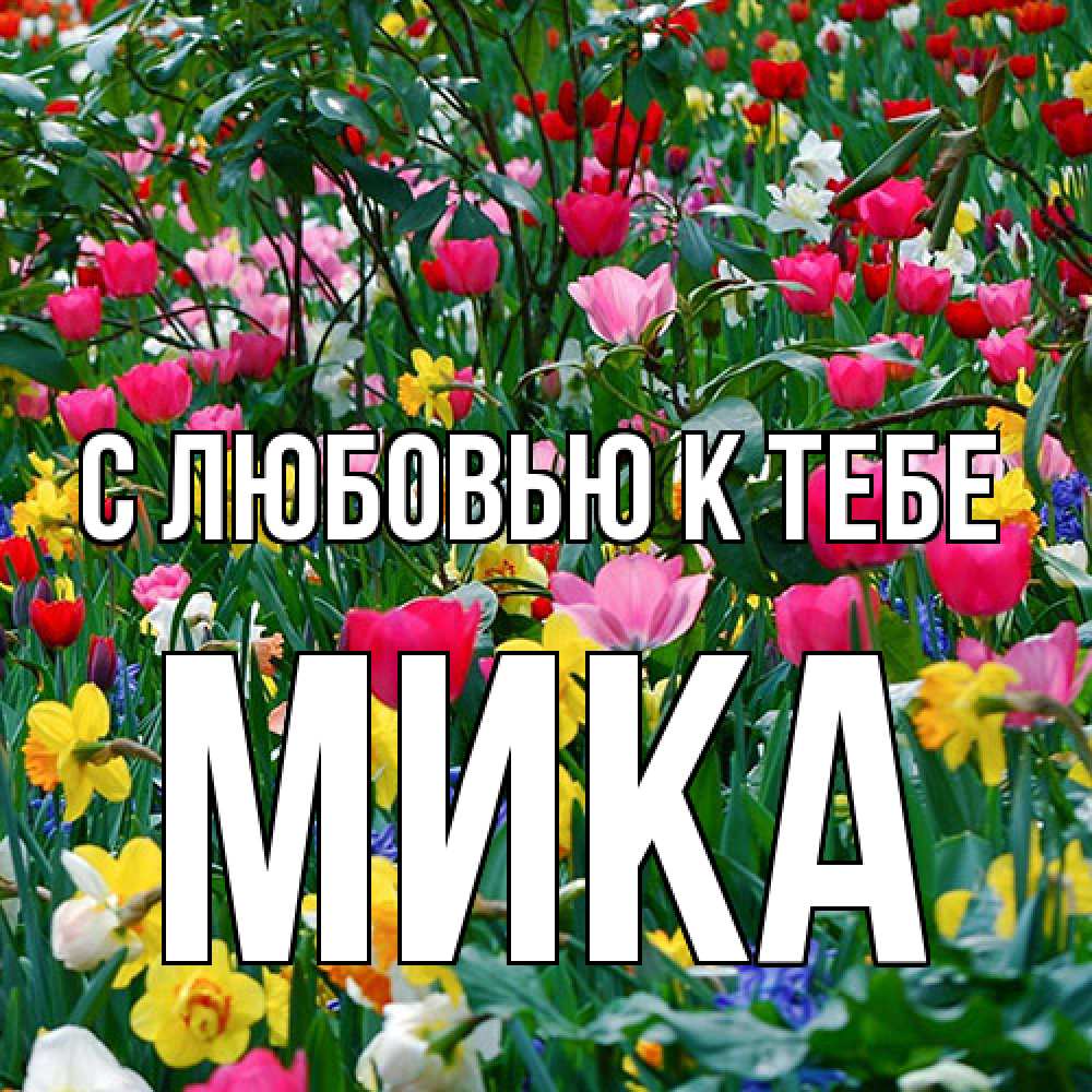 Открытка  с именем. мика, С любовью к тебе  