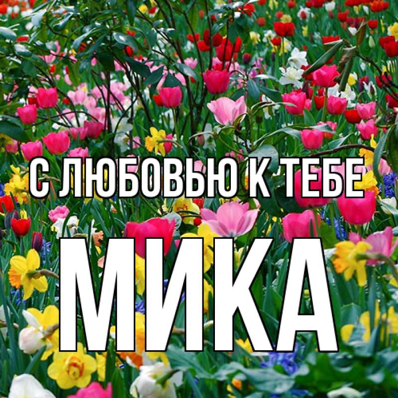 Картинка С любовью к тебе, мика