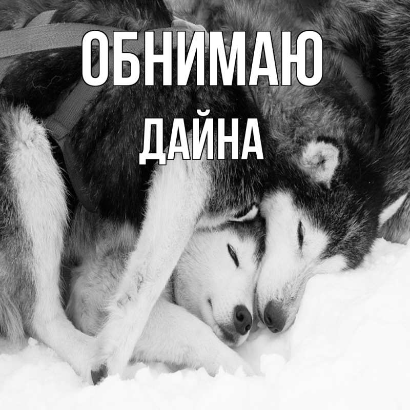 Картинка Обнимаю, Дайна