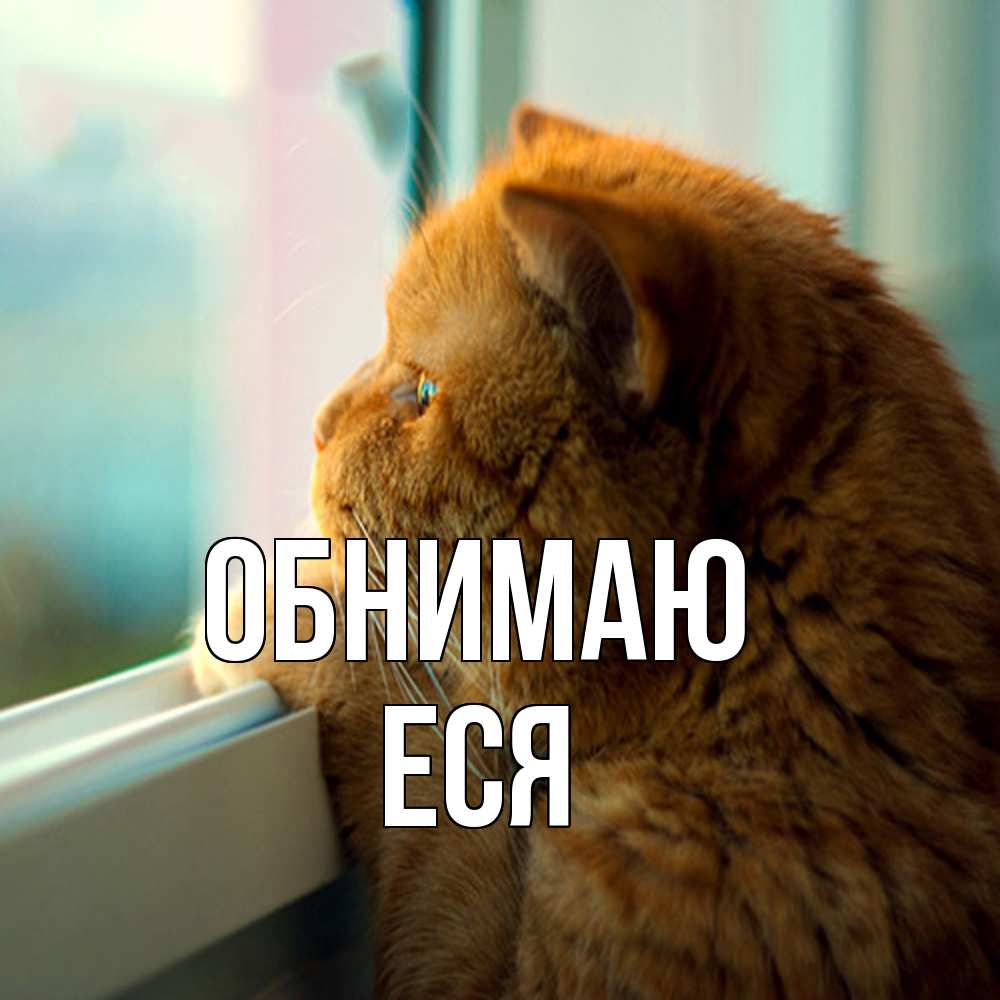 Открытка  с именем. Еся, Обнимаю  