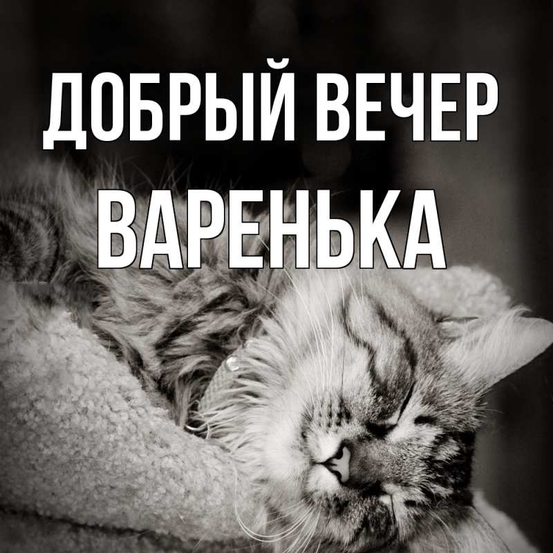 Картинка Добрый вечер, Варенька