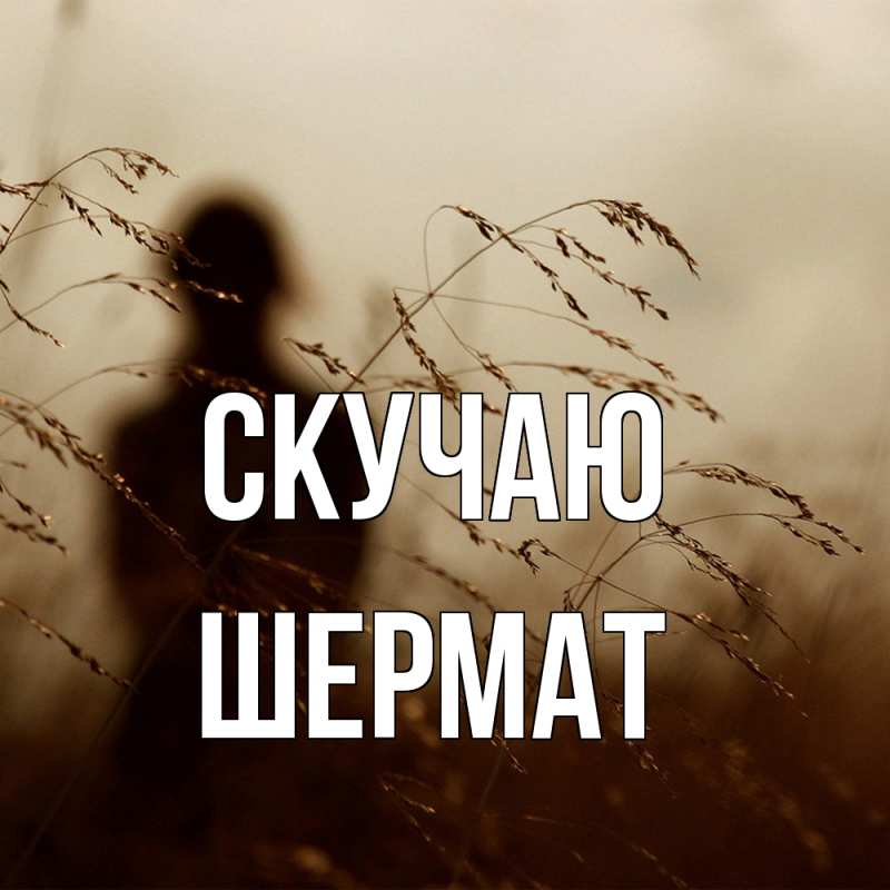 Картинка Скучаю, Шермат